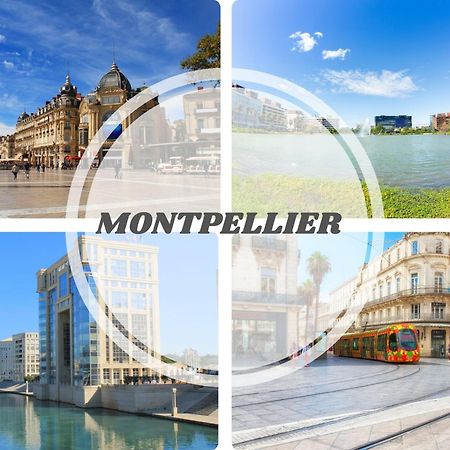 Le Calderini Appart - Face Plage Wifi Et Park Gratuit Calme - Resid Le Surcouf -Top Pros Servicesconciergerie La Grande Motte Eksteriør bilde